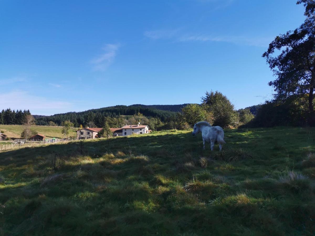 Le Moulin De La Fortie, Maison D'Hotes Viscomtat Exteriér fotografie